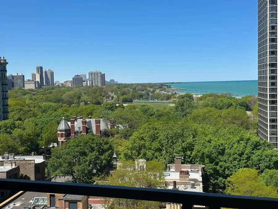 1450 N Astor Street #15AB, Chicago, IL 60610 - #3