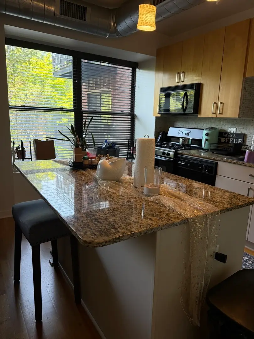 4537 S Drexel Boulevard #203, Chicago, IL 60653 - #2