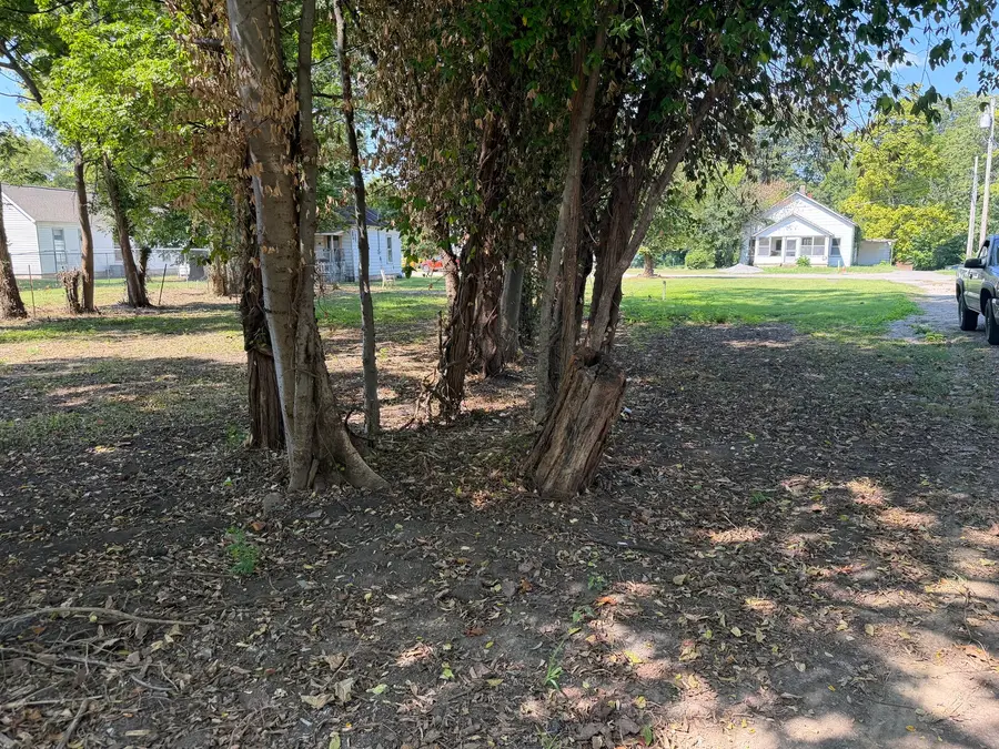 406 Filmore Street, Metropolis, IL 62960 - #2