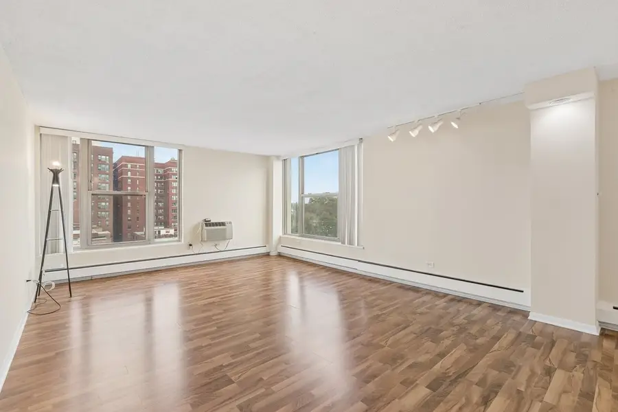 5401 S Hyde Park Boulevard #705, Chicago, IL 60615 - #2