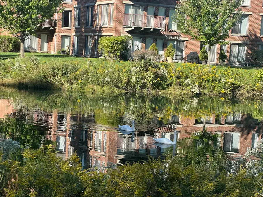 401 Kelburn Road #114, Deerfield, IL 60015 - #3