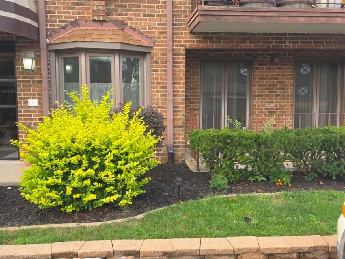 13547 Lamon Avenue #402, Crestwood, IL 60418 - #1