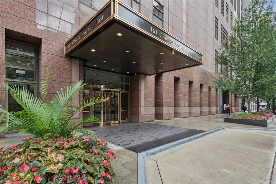 161 E Chicago Avenue #26B, Chicago, IL 60611 - #2