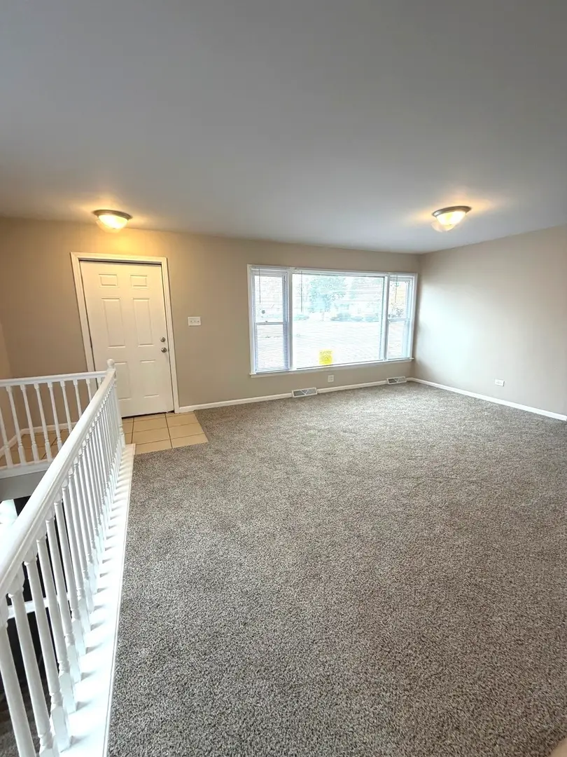 796 E 163rd Street, South Holland, IL 60473 - #3