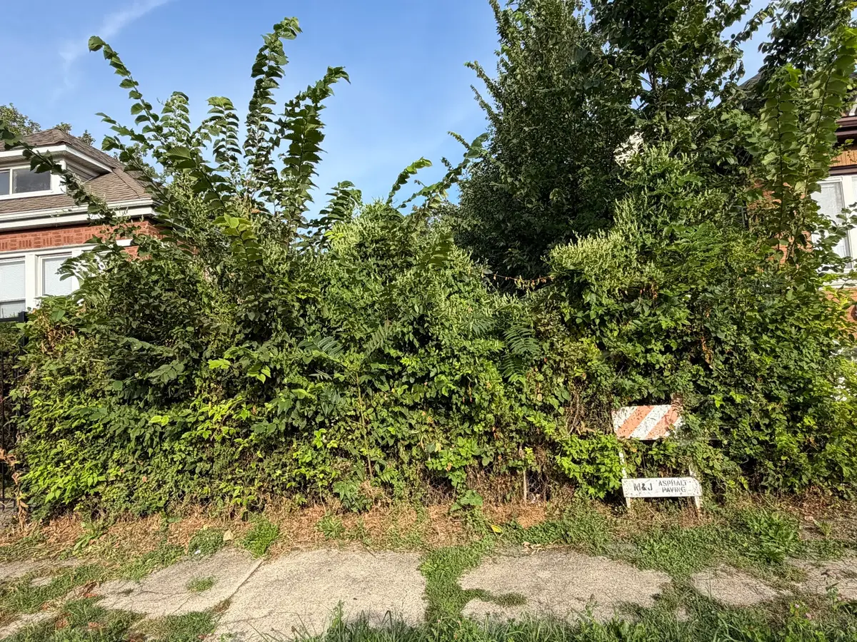 7219 S Aberdeen Street, Chicago, IL 60621 - #1