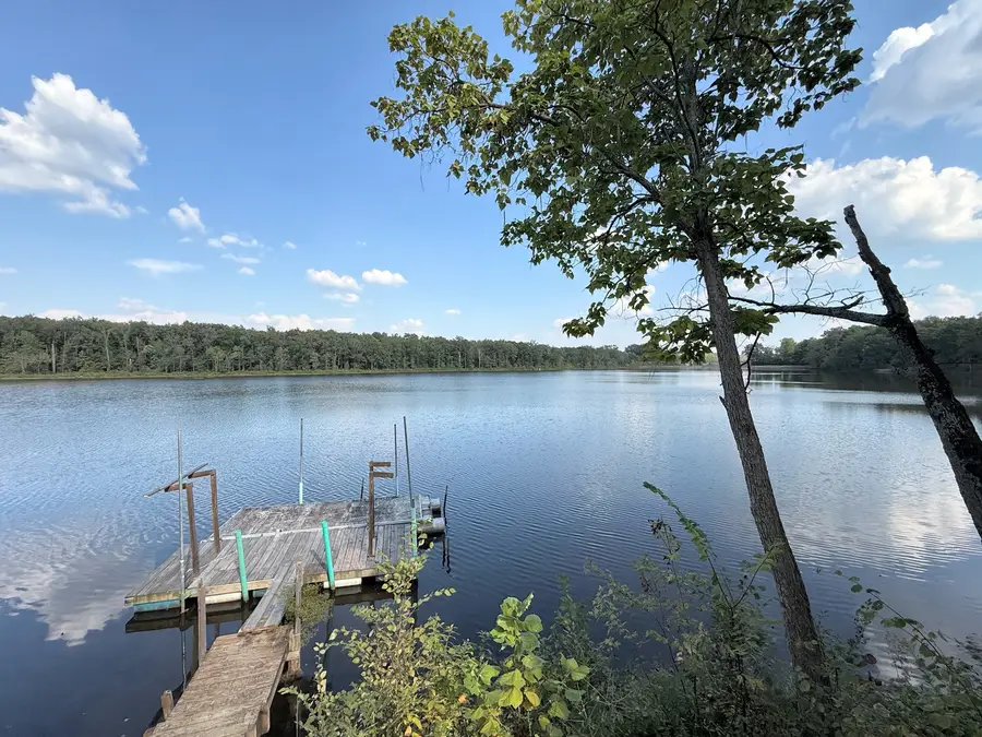 4866 E Mitchell Lake Road, Mulkeytown, IL 62865 - #3