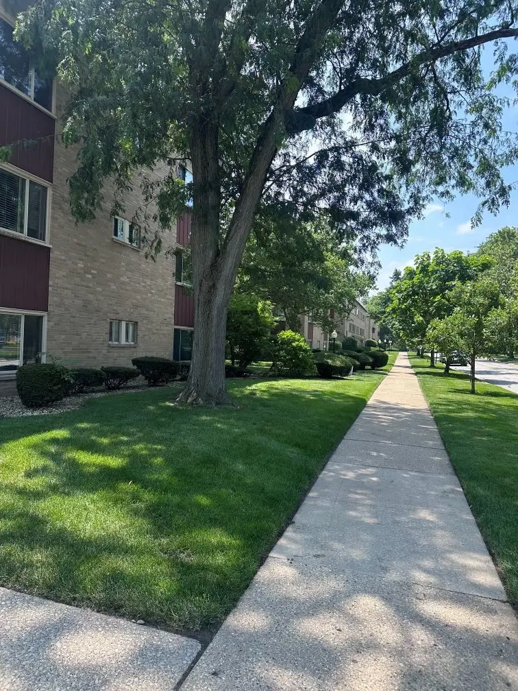 2612 Central Drive #1N, Flossmoor, IL 60422 - #2