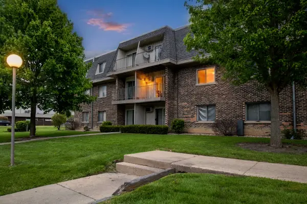 876 Blossom Lane #203, Prospect Heights, IL 60070