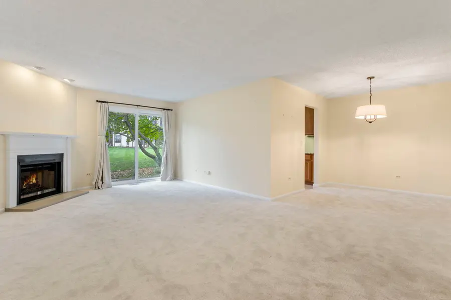 386 Elizabeth Drive #386, Wood Dale, IL 60191 - #2