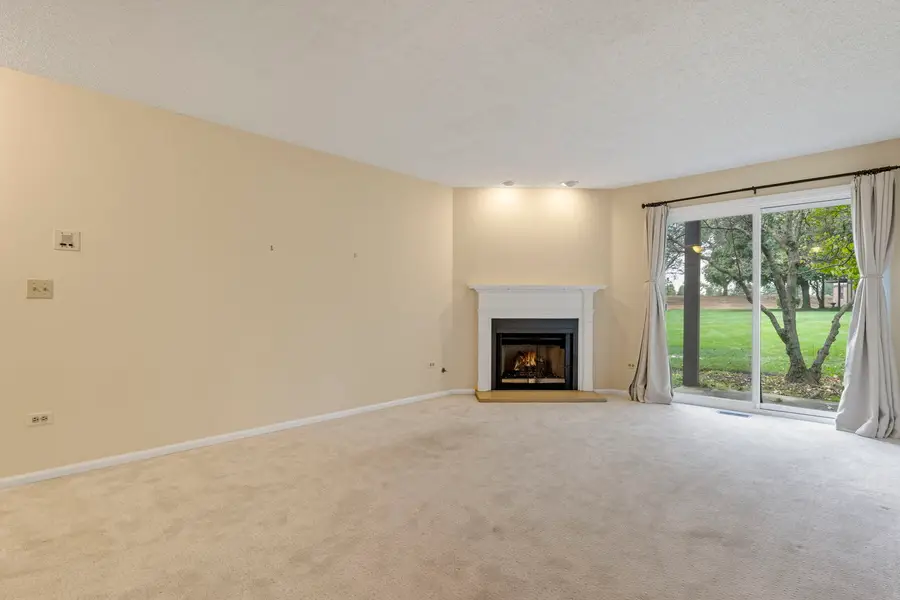 386 Elizabeth Drive #386, Wood Dale, IL 60191 - #3