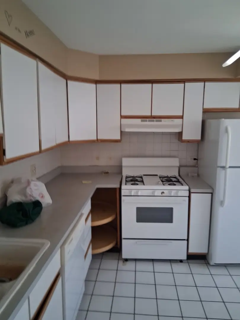 7235 N Hamilton Avenue #3D, Chicago, IL 60645 - #2