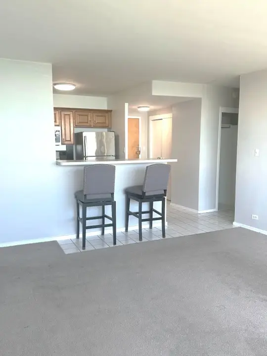 1150 N Lake Shore Drive #8B, Chicago, IL 60611 - #3