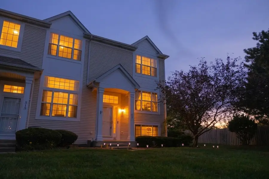 517 Silver Leaf Drive #517, Joliet, IL 60431 - #3