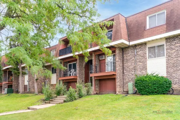 575 Heritage Drive #206, Schaumburg, IL 60169