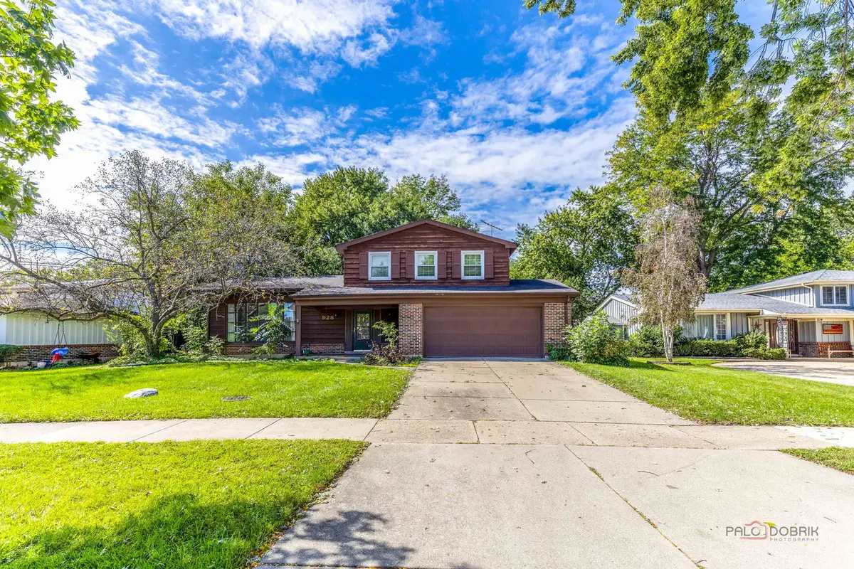 928 Rohlwing Road, Palatine, IL 60074 - #1