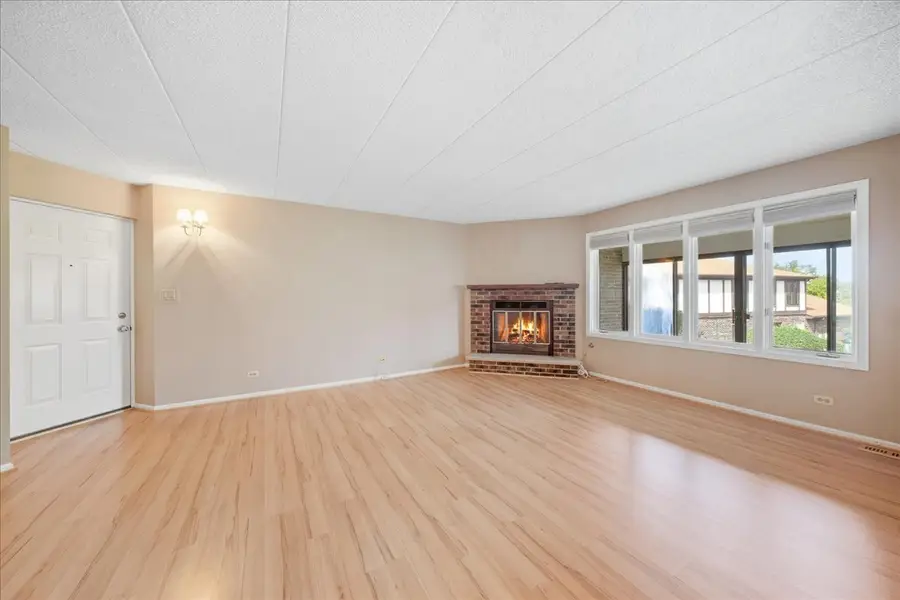 9810 Mill Drive W #E1, Palos Park, IL 60464 - #3