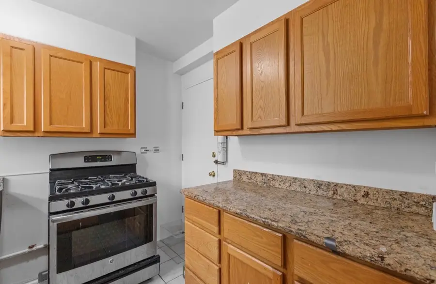 7206 Oak Avenue #2SE, River Forest, IL 60305 - #2
