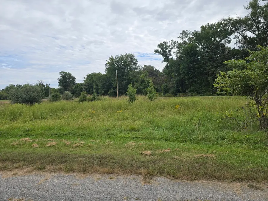 000 Bauman Lane, Harrisburg, IL 62946 - #2