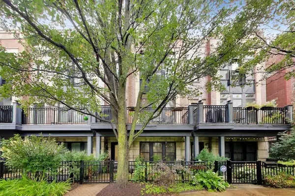 3022 W Newport Avenue, Chicago, IL 60618