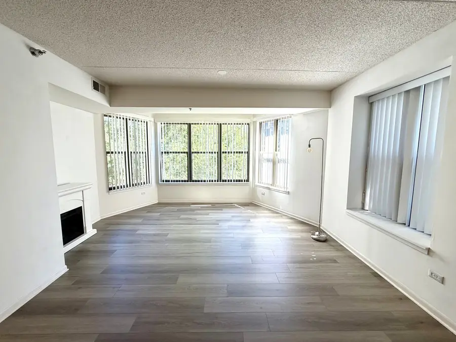 1250 S Indiana Avenue #308, Chicago, IL 60605 - #2