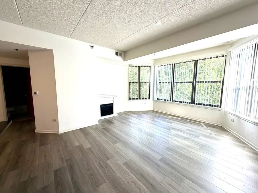 1250 S Indiana Avenue #308, Chicago, IL 60605 - #3