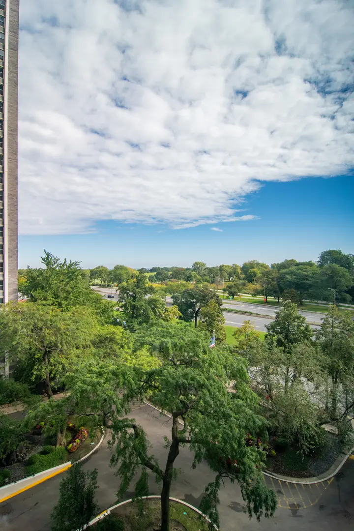 4250 N Marine Drive #705, Chicago, IL 60613 - #3