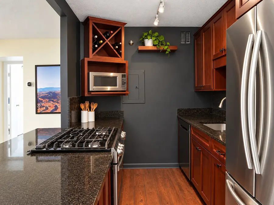 1309 N Wells Avenue #501, Chicago, IL 60610 - #3