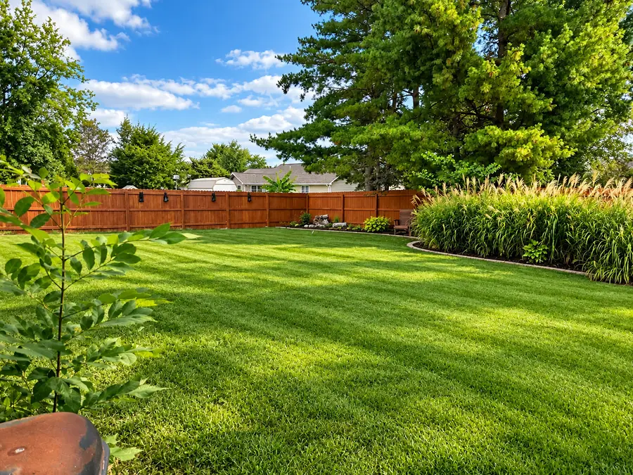 713 Palace Drive, Pinckneyville, IL 62274 - #3