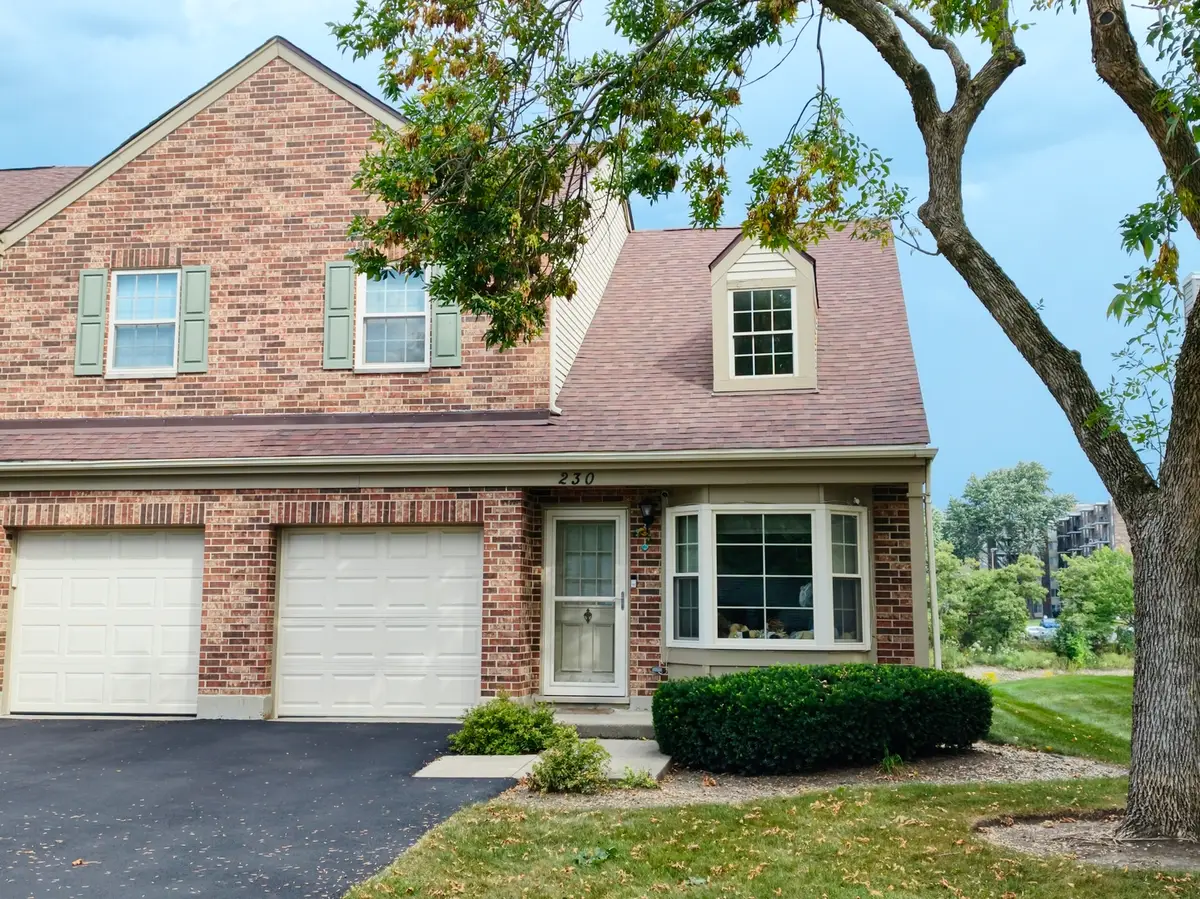 230 Carlisle Avenue, Westmont, IL 60559 - #1