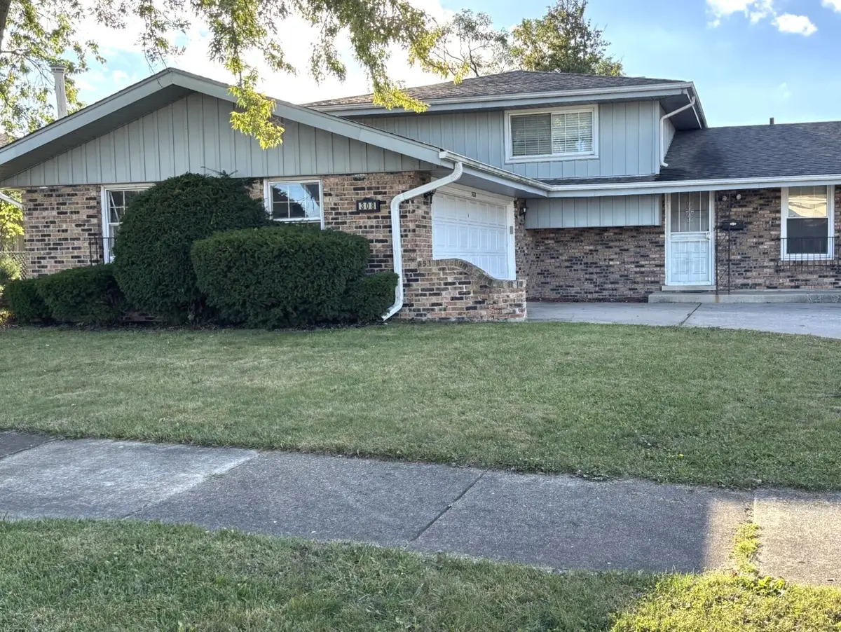 308 S Walnut Street, Glenwood, IL 60425 - #1