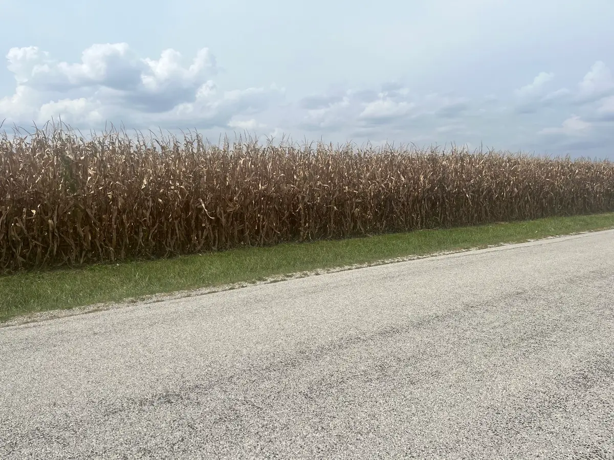 1293 County Road 2400 E, Saint Joseph, IL 61873 - #1
