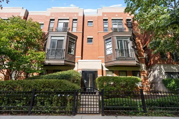 944 W 15th Place #3B, Chicago, IL 60608