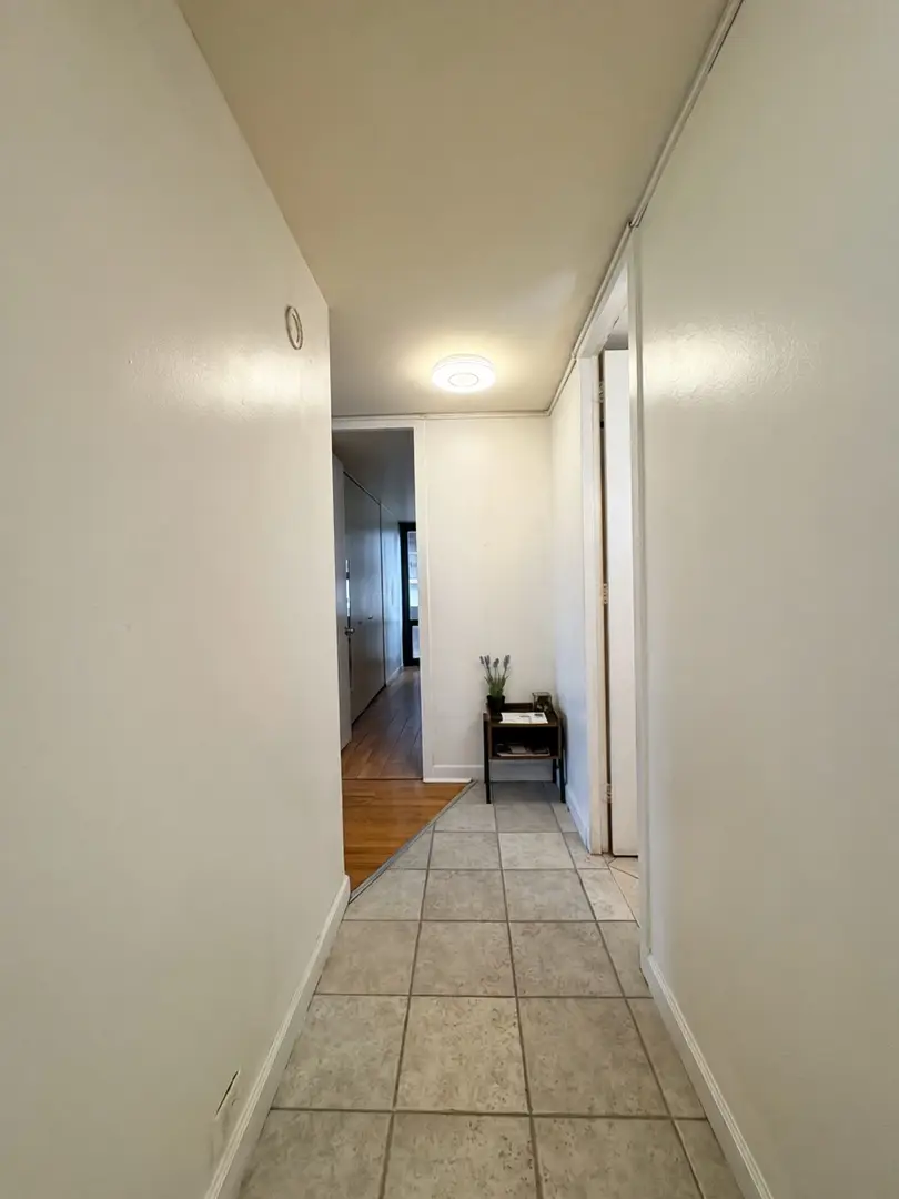 3021 S Michigan Avenue #306, Chicago, IL 60616 - #3
