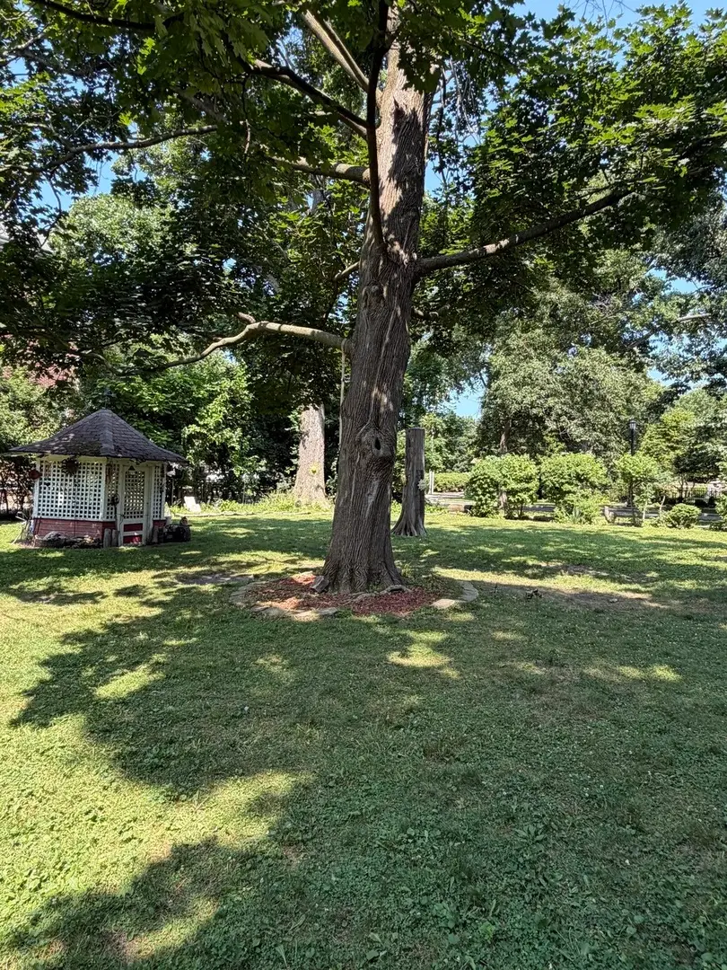 2530 Mcdaniel Avenue, Evanston, IL 60201 - #2