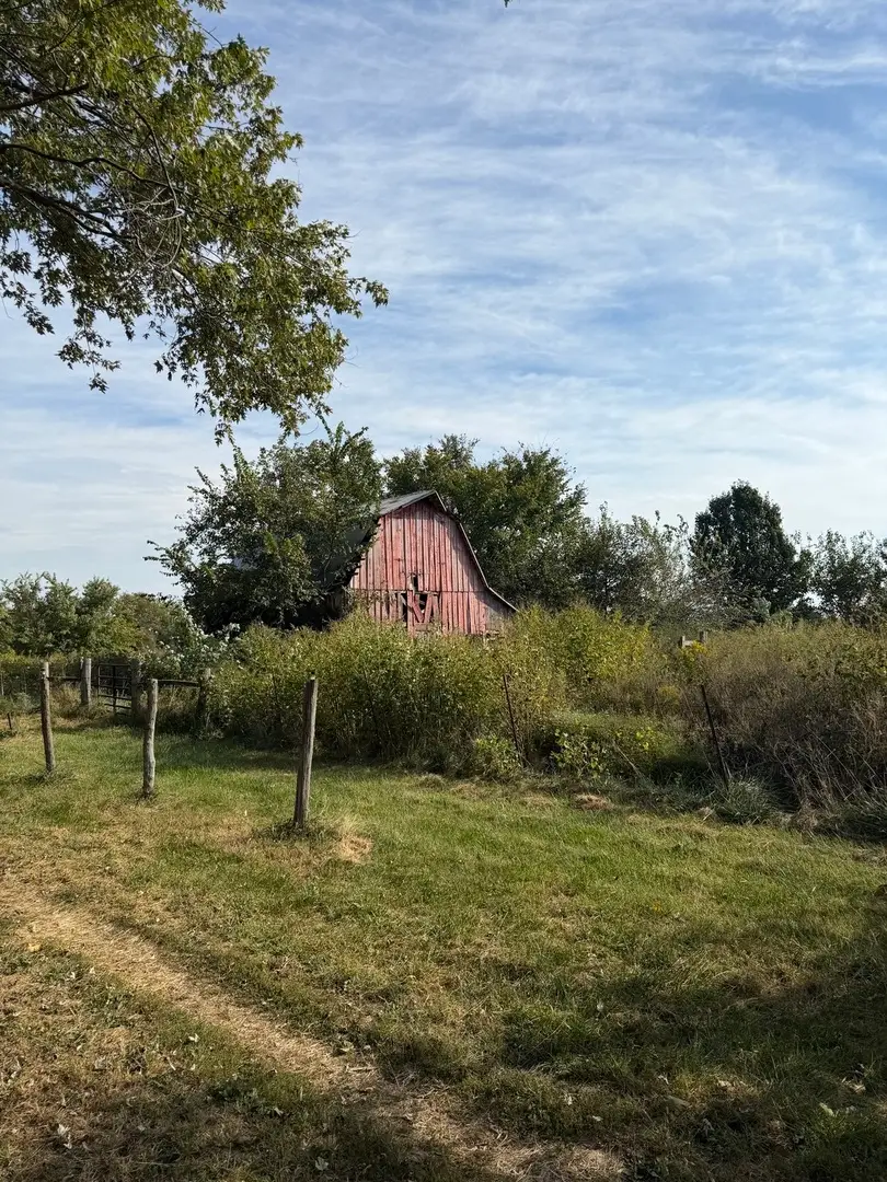 8141 E Tamaroa Road, Tamaroa, IL 62888 - #2