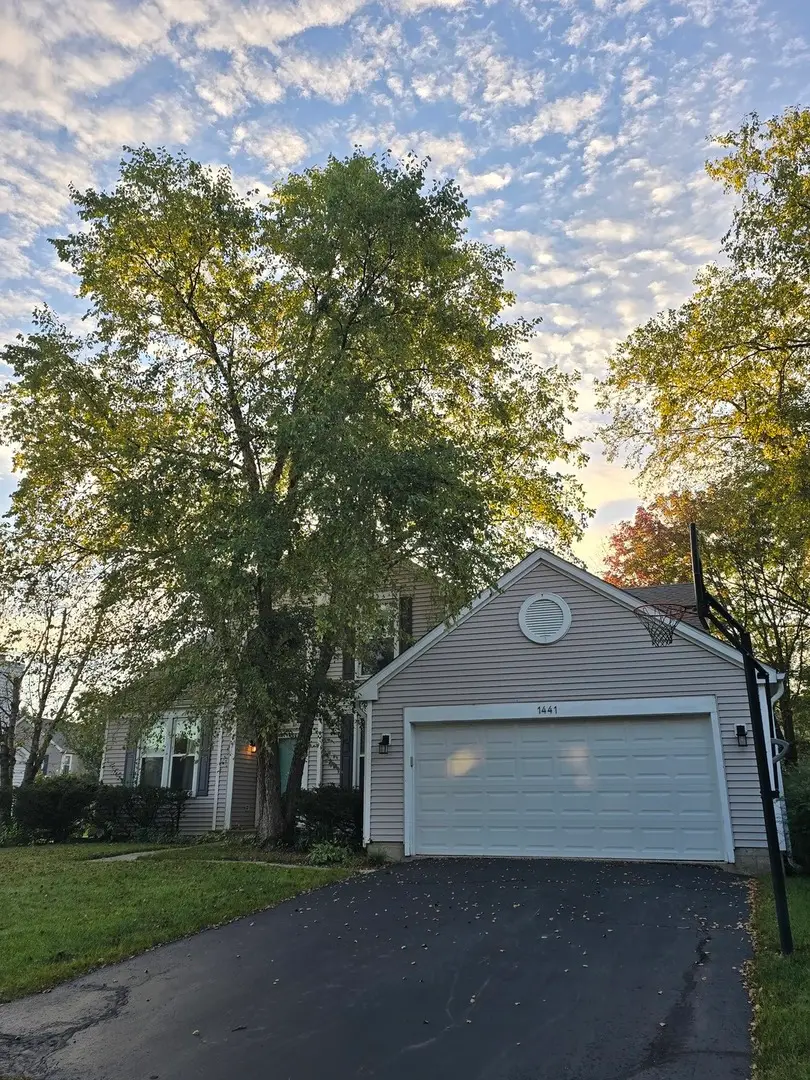 1441 Tanglewood Drive, Crystal Lake, IL 60014 - #2