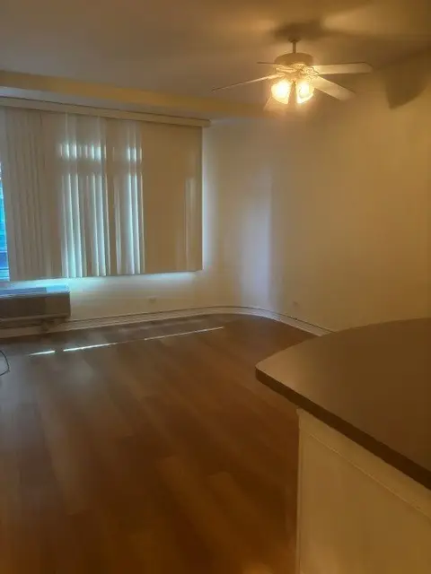 211 E Ohio Street #611, Chicago, IL 60611 - #3