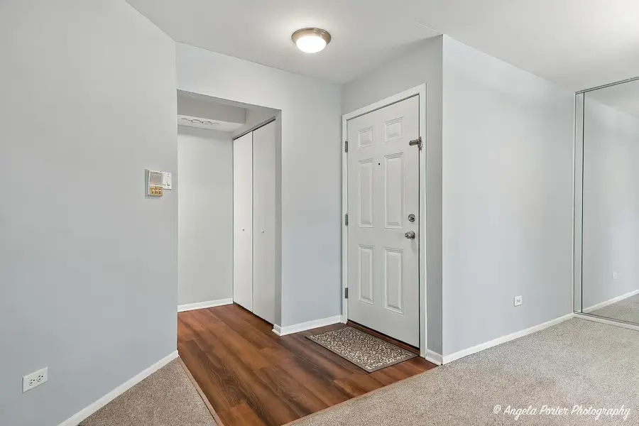 866 E Carriage Lane #8, Palatine, IL 60074 - #3
