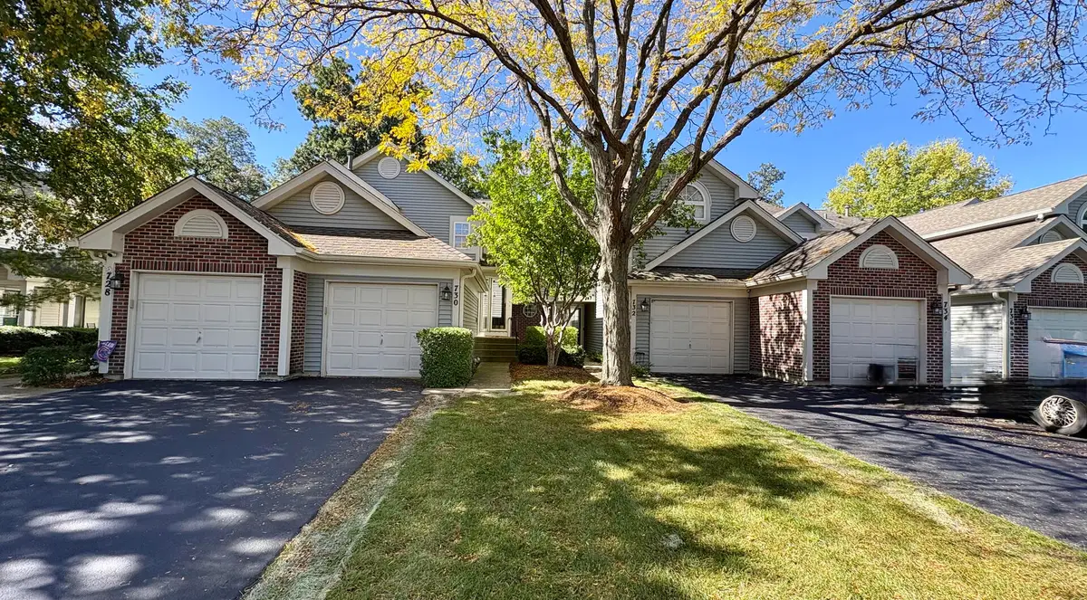 730 Ripple Brook Lane, Elgin, IL 60120 - #1