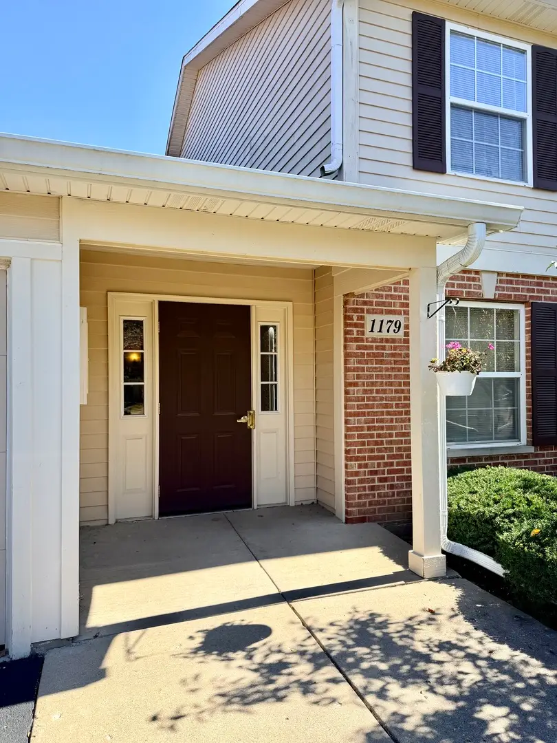 1179 N Village Drive #3, Round Lake Beach, IL 60073 - #2