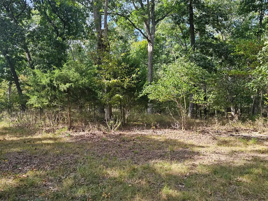 0000 N Violet Court, Dix, IL 62830 - #3