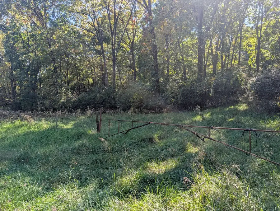 1 Rural Route Road, Dewitt, IL 61735 - #2