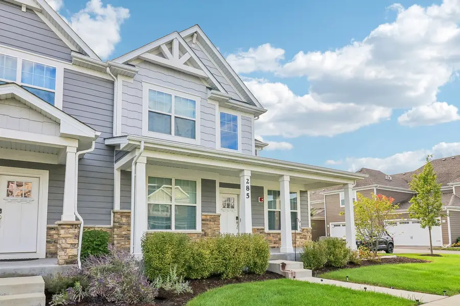285 Didier Court, Buffalo Grove, IL 60089 - #3