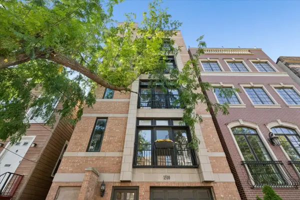 1510 N Wieland Street #2, Chicago, IL 60610
