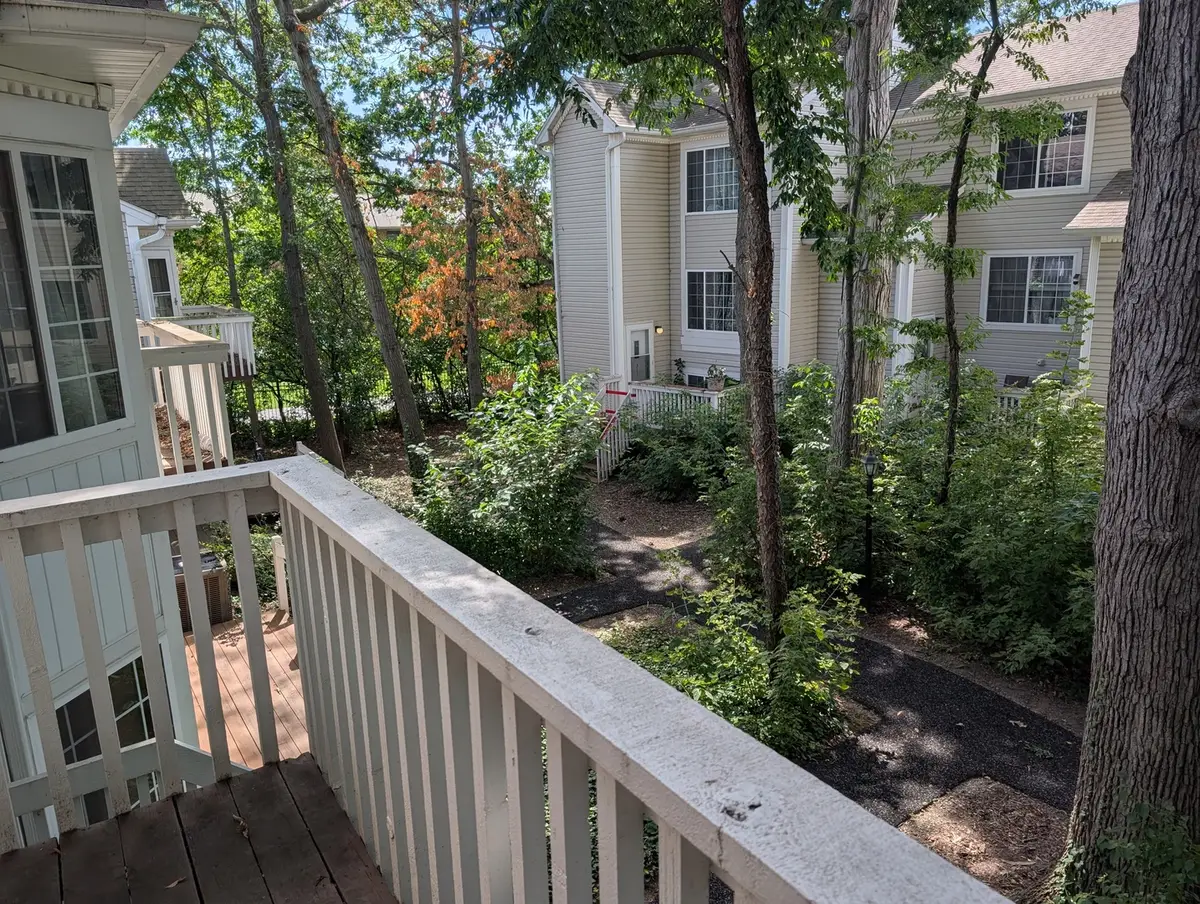 293 W Treehouse Lane, Round Lake, IL 60073 - #1
