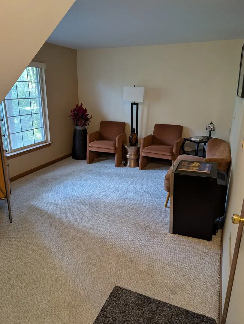 293 W Treehouse Lane, Round Lake, IL 60073 - #2
