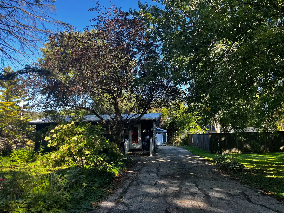 601 Locust Avenue, Geneva, IL 60134 - #1