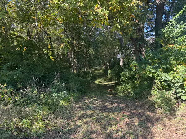 21 County Road 500 E, Sadorus, IL 61872