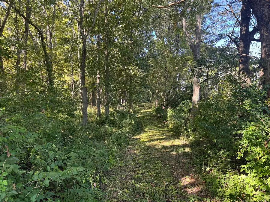 21 County Road 500 E, Sadorus, IL 61872 - #2