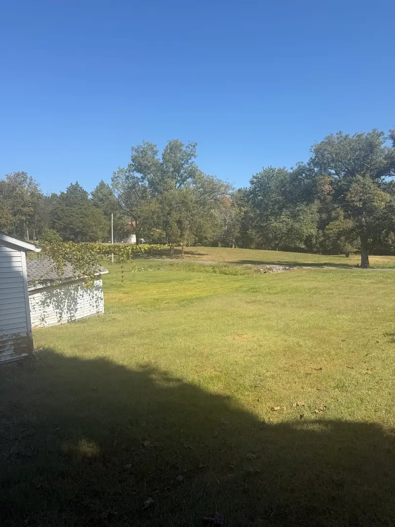 1405 Newton Avenue, Johnston City, IL 62951 - #3